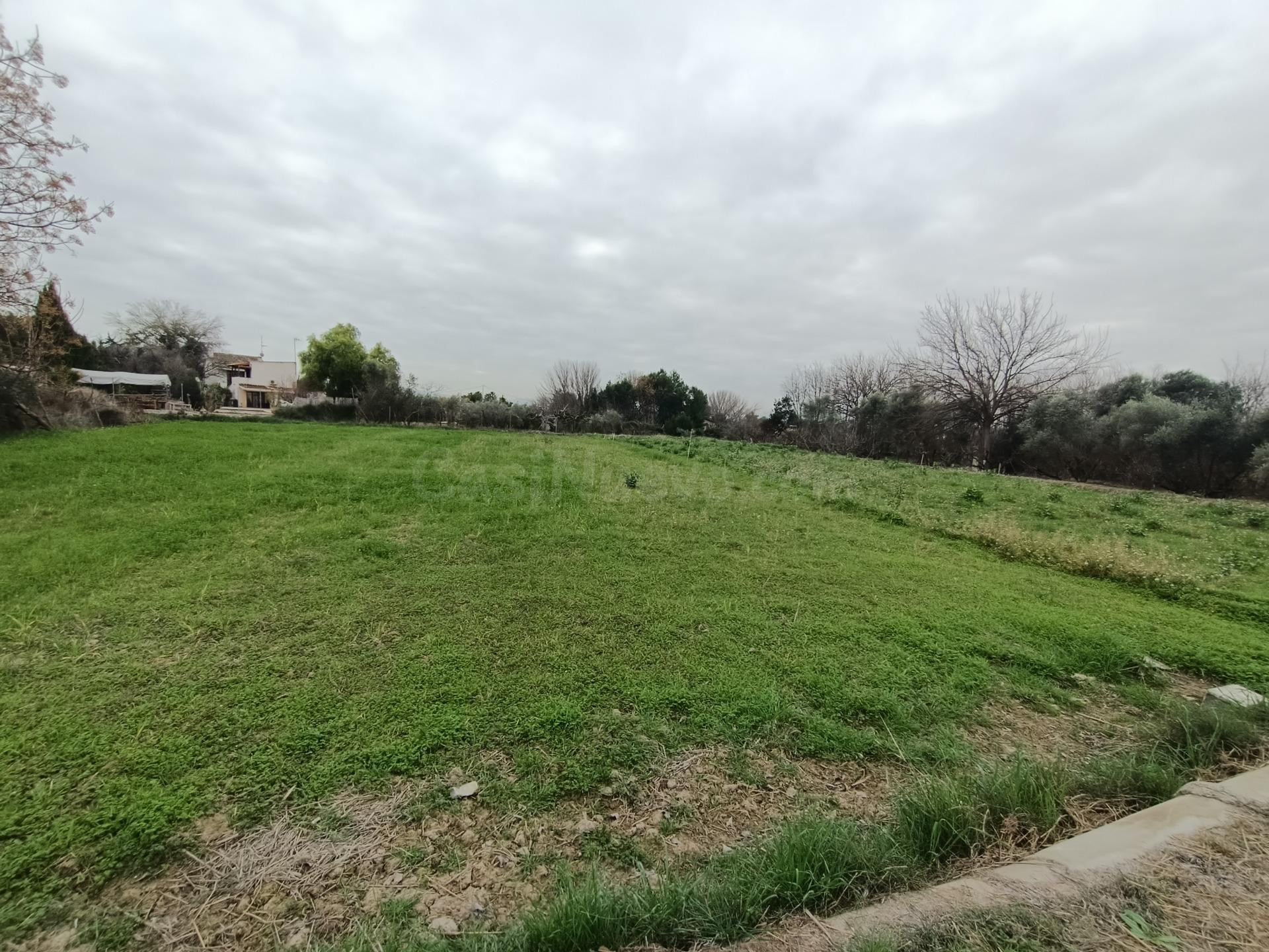SE VENDE PARCELA RÚSTICA EN ALGUAZAS
