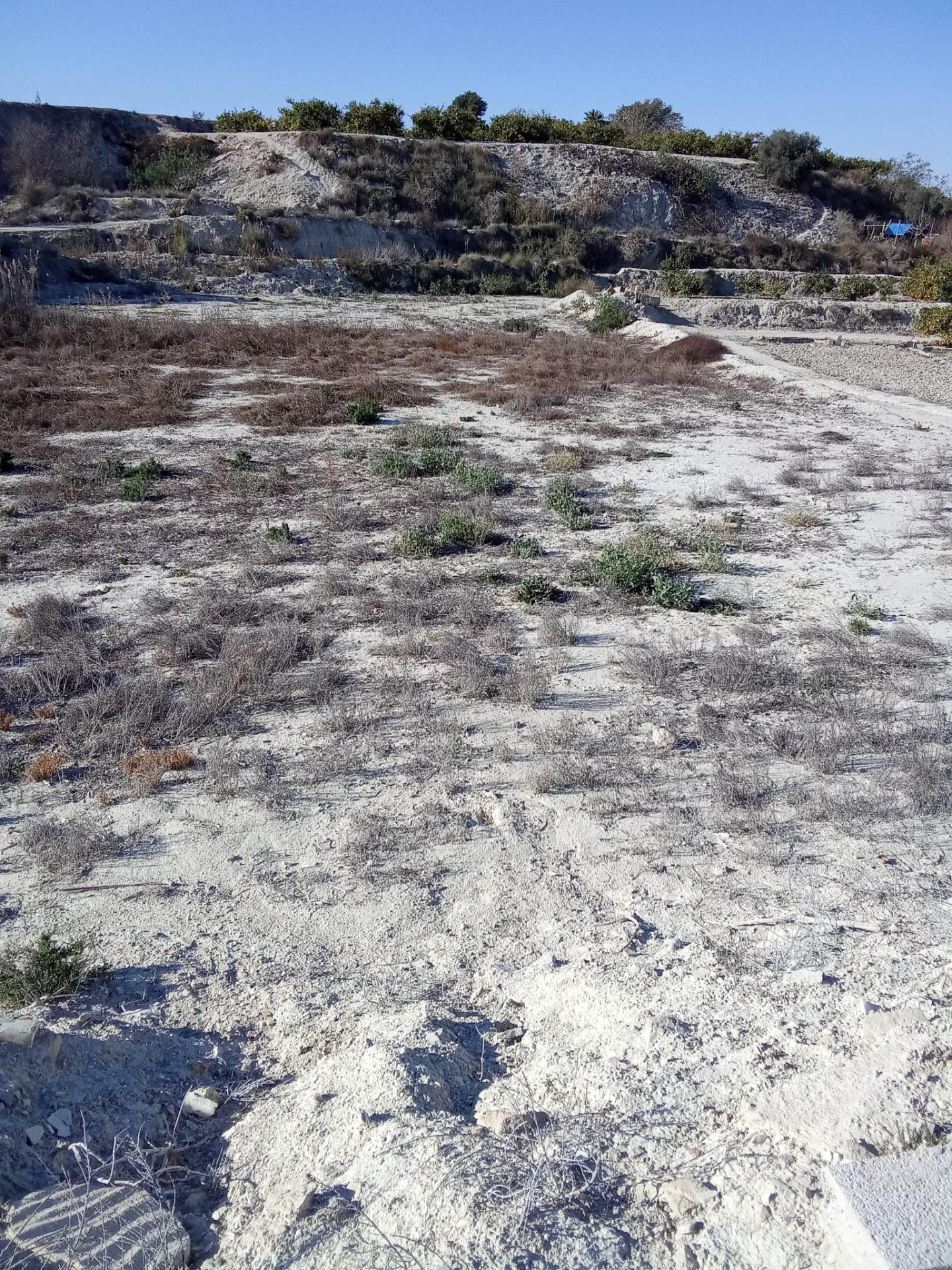 SE VENDE PARCELA RÚSTICA EN ALGUAZAS