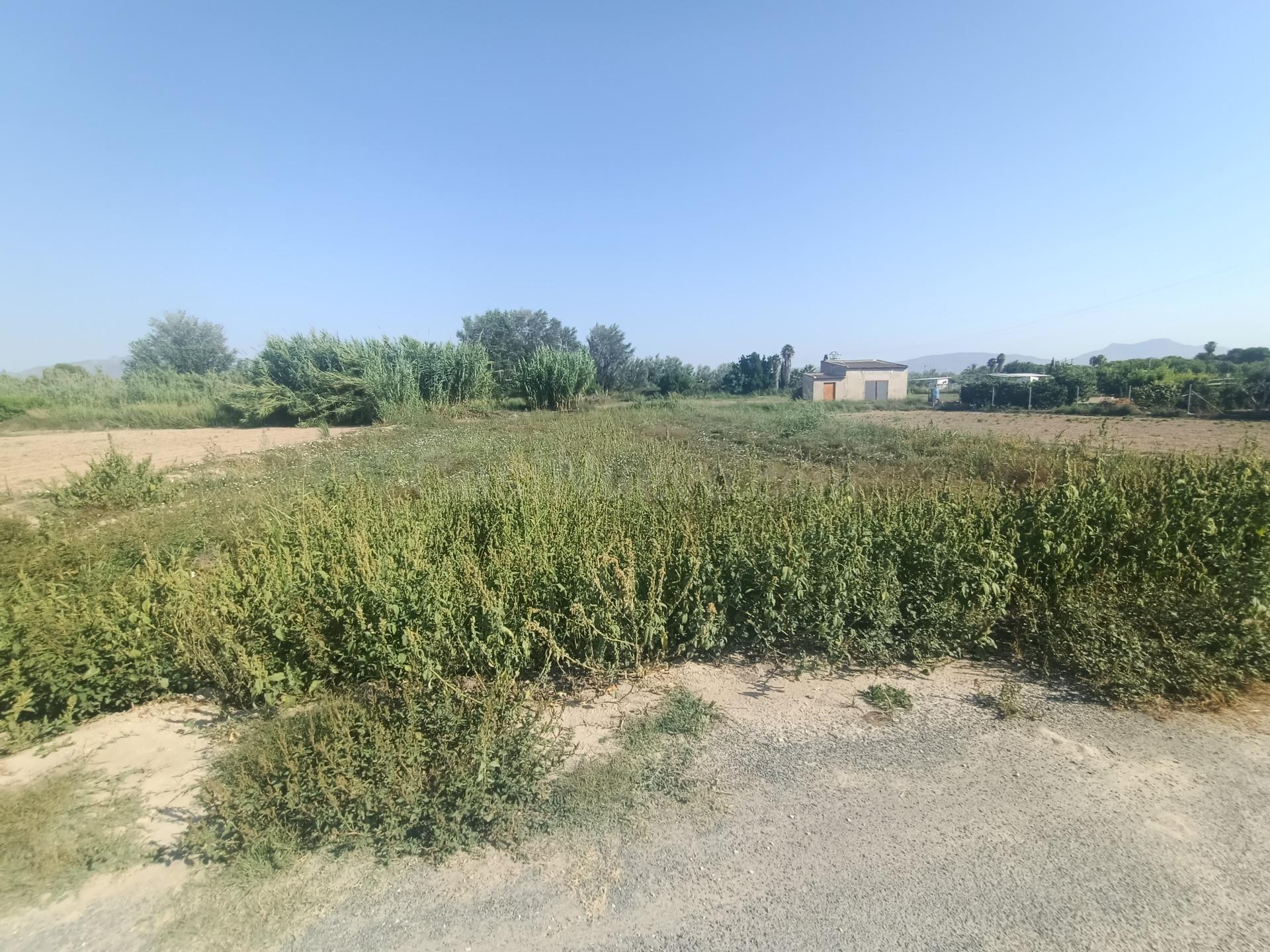 SE VENDE PARCELA RÚSTICA EN LORQUÍ