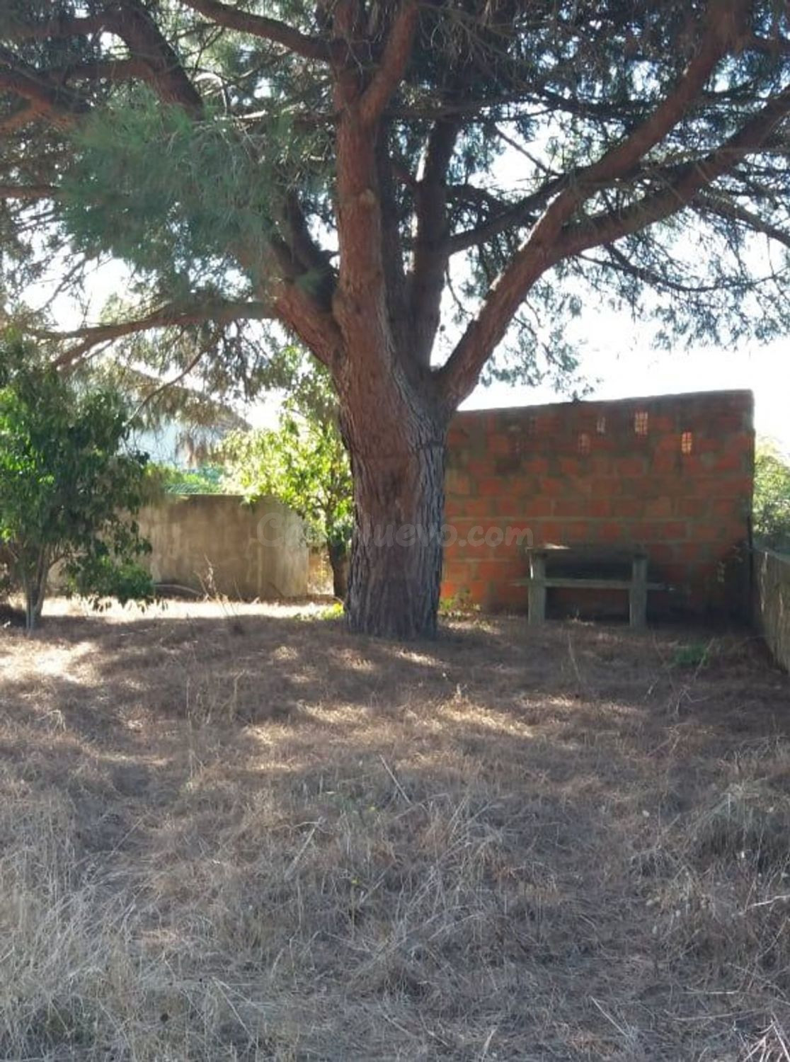 Parcela de 1.252 m2 en Palmela con pozo artesiano, pozo y árboles frutales | Potencial para una autocaravana o casa móvil