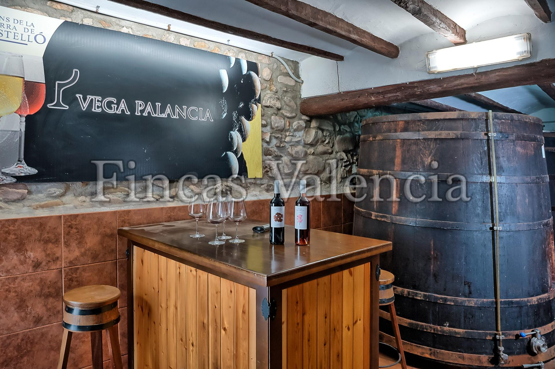 BODEGA DE AUTOR EN PRODUCCIÓN. CASI 6 HECTAREAS DE VIÑEDOS - foto 2