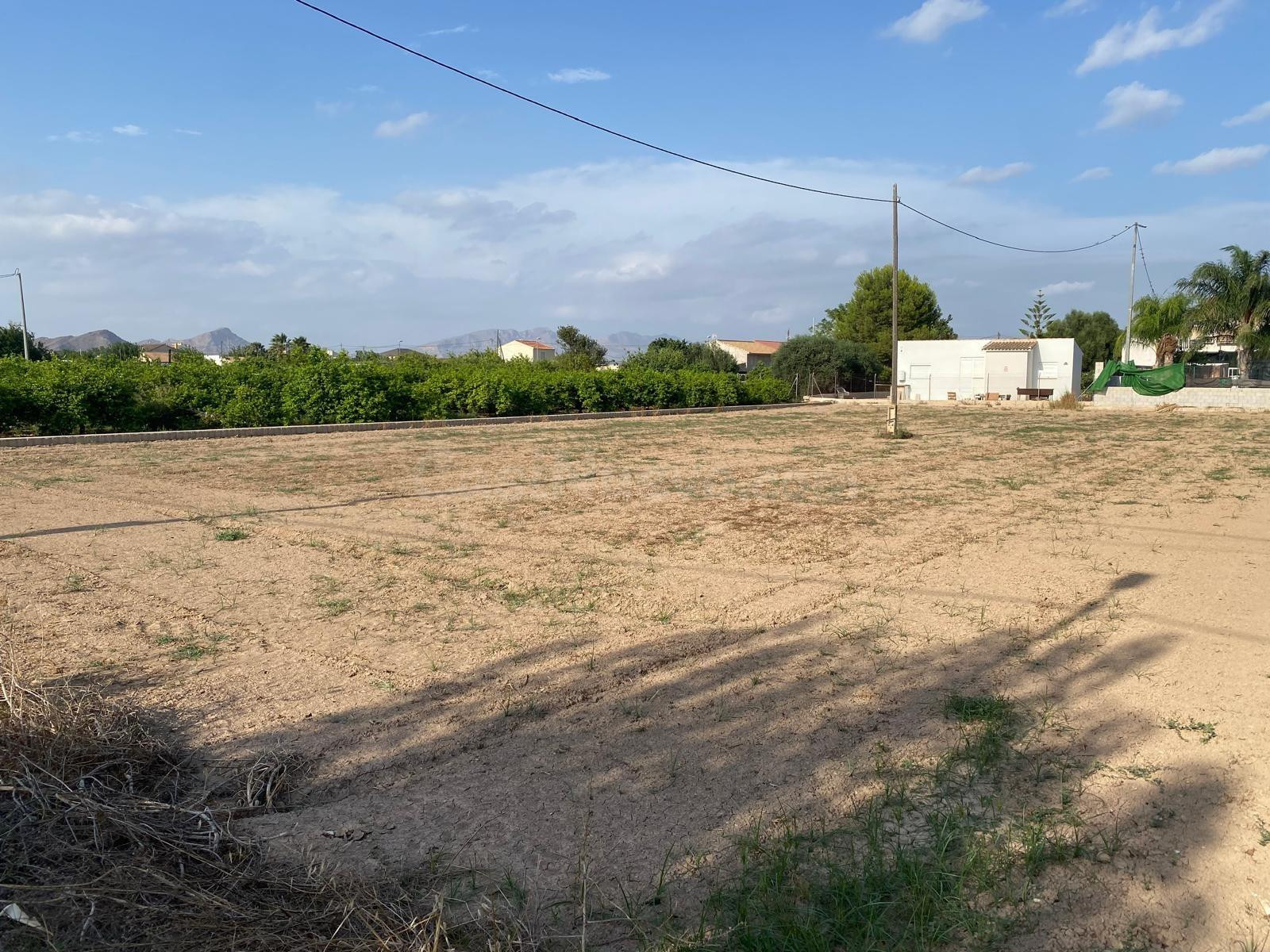 Terreno rural en venta - Casillas