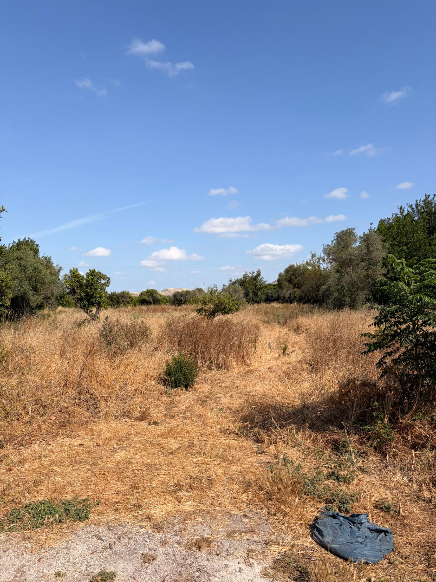 Terreno rústico de 4.300 m2 en un entorno privilegiado de la huerta de Murcia