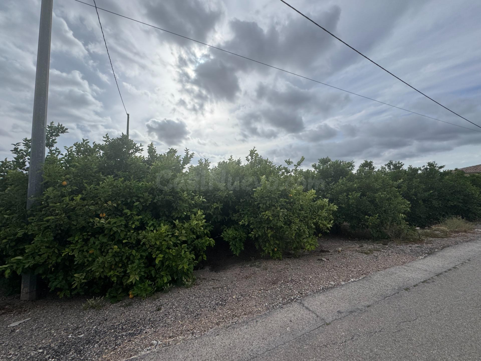 Se vende parcelica de huerto, plantado de limoneros en LLano de Brujas.