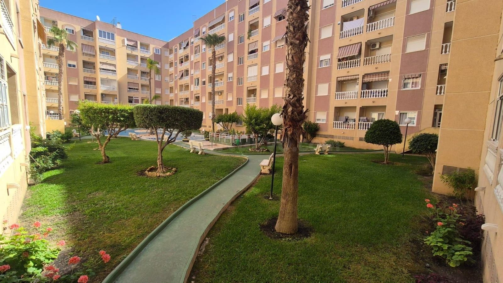 ULTIMA OPORTUNIDAD !!Estudio  muy amplio en el Puerto Deportivo de Torrevieja – Luz, ubicación y potencial