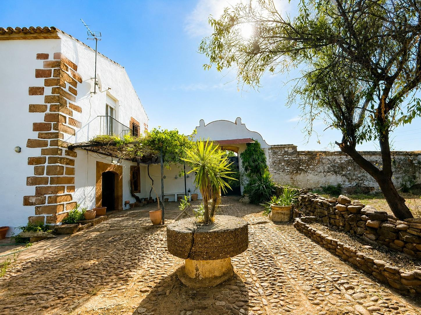 CORTIJO EN VENTA MONTORO