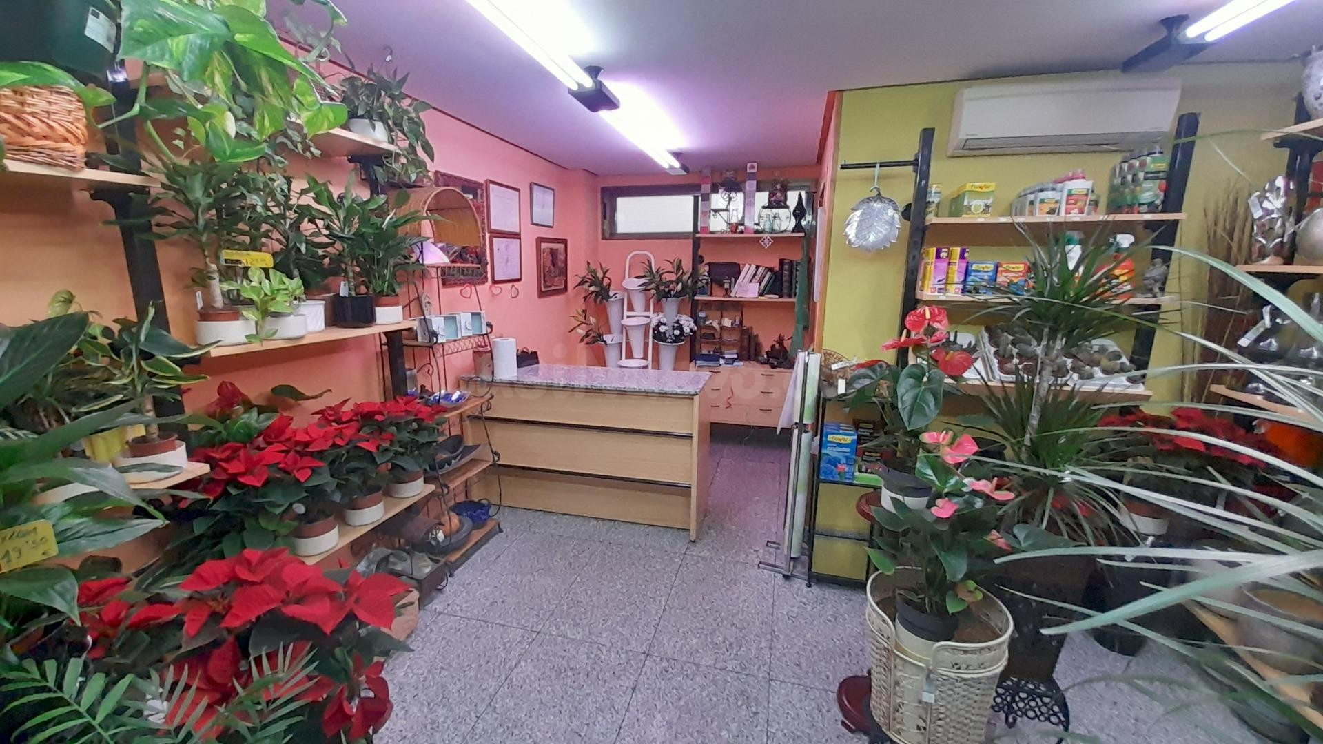 LOCAL EN VENTA EN ZONA PASEO DE ZORRILLA-PLAZA DE TOROS