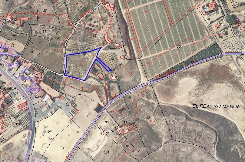 SE VENDE TERRENO RÚSTICO DE USO AGRARIO EN ANTAS (ALMERÍA)