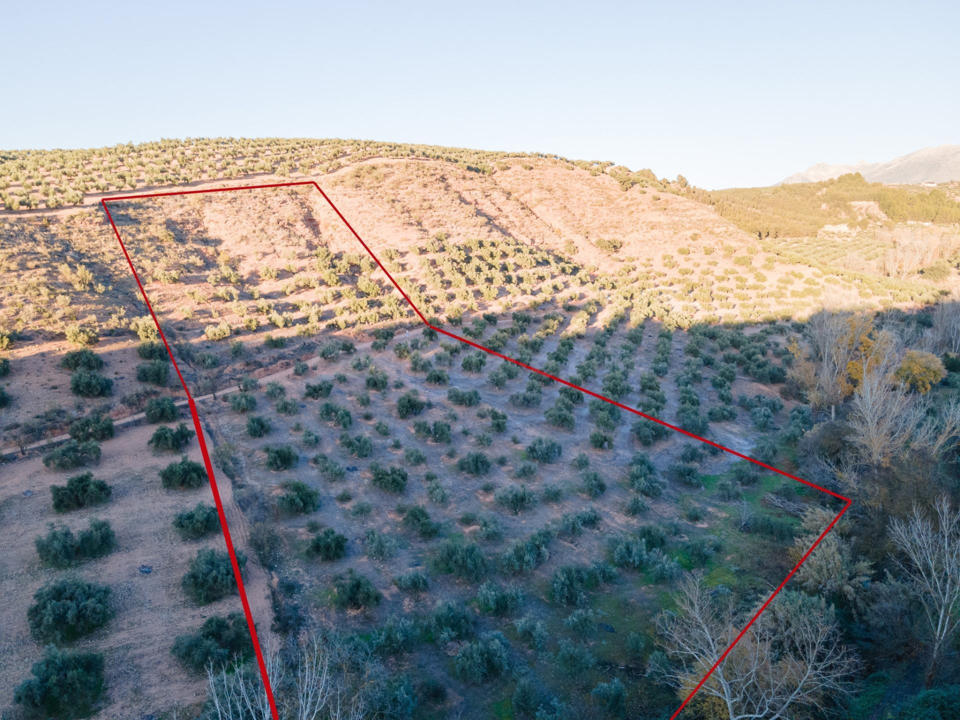 Venta de Terreno Rústico en Calicasas de 11.000 m2 d