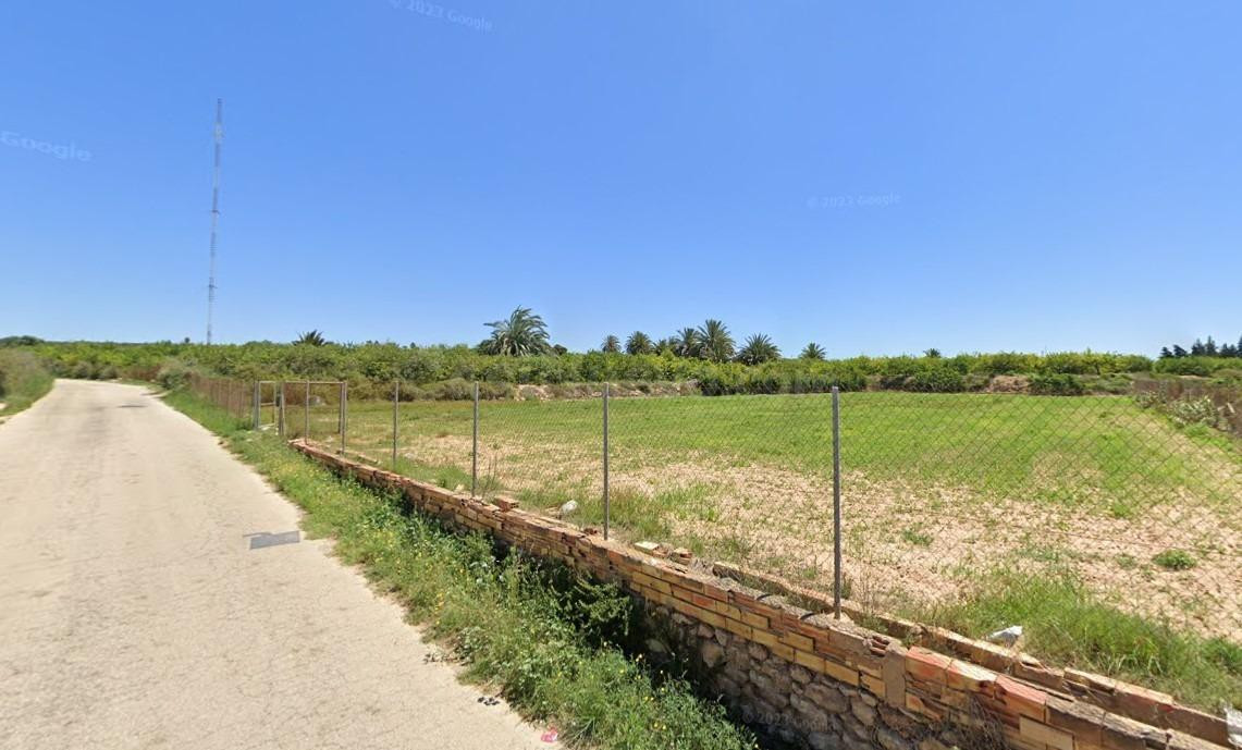 Suelo agrario en el Campo de Guardamar del Segura