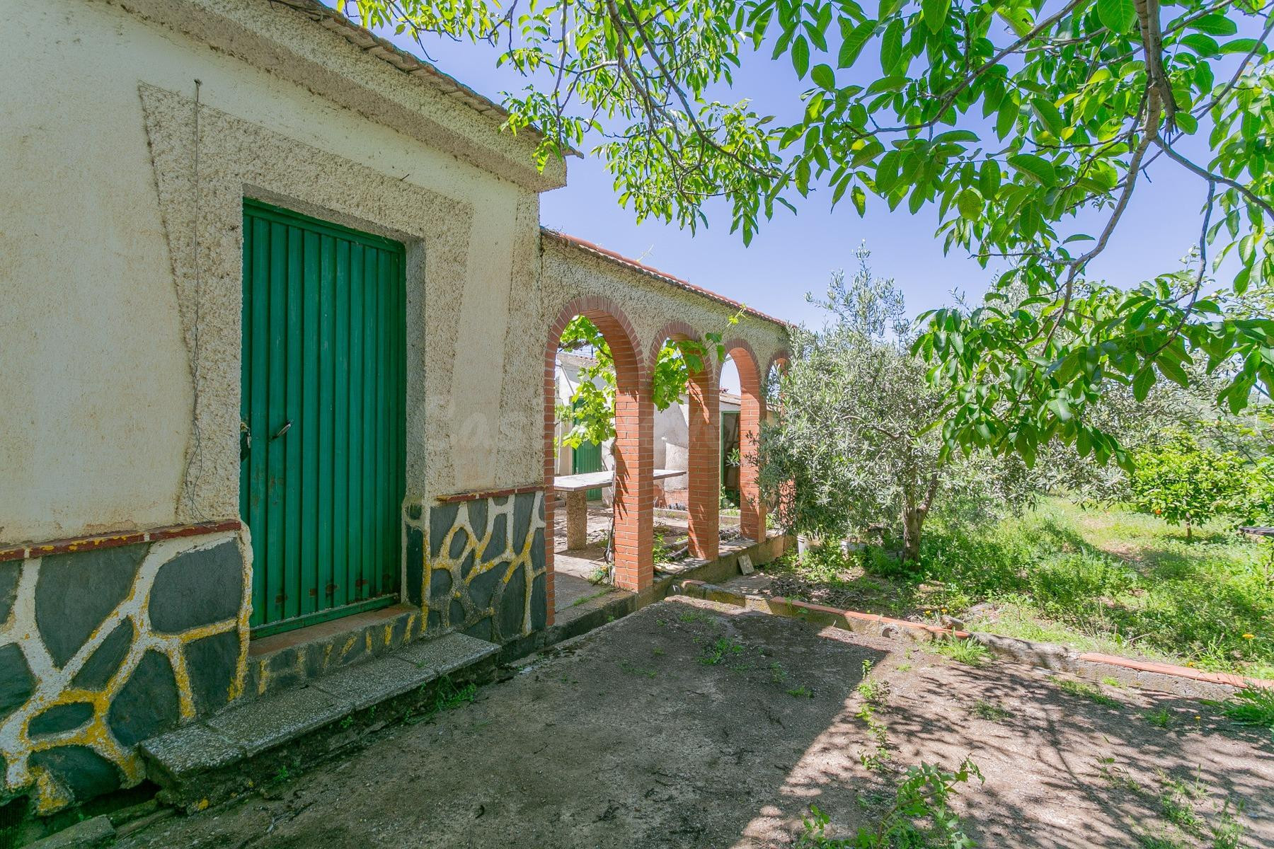 "¡Vive la vida en el campo! Terreno con casa de aperos y cultivos de olivos y frutales en ve