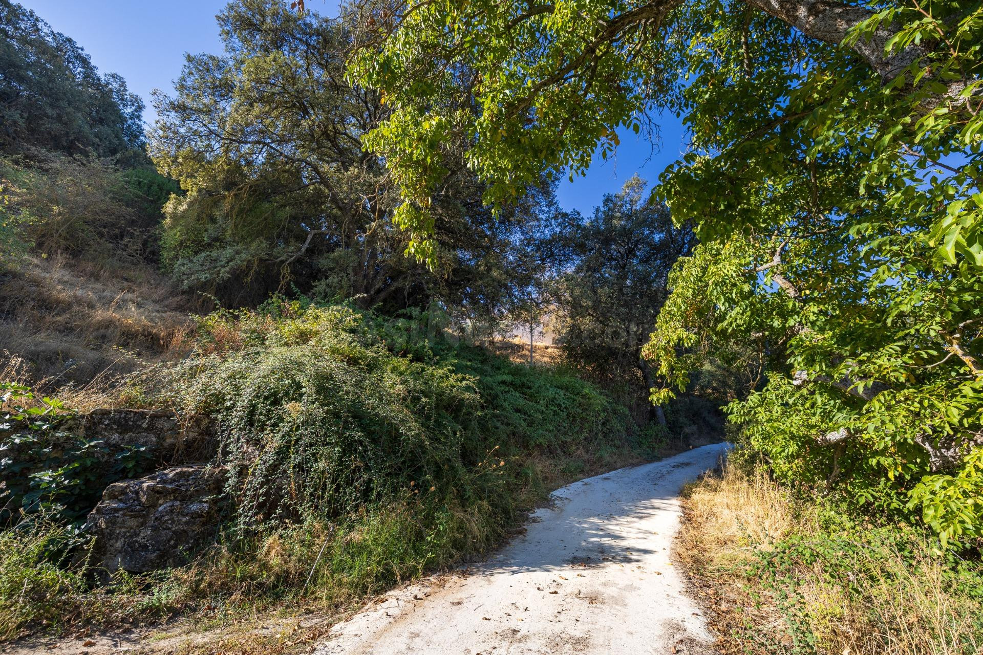 En uno de los pueblos más bonitos de España, finca ideal par - foto 3