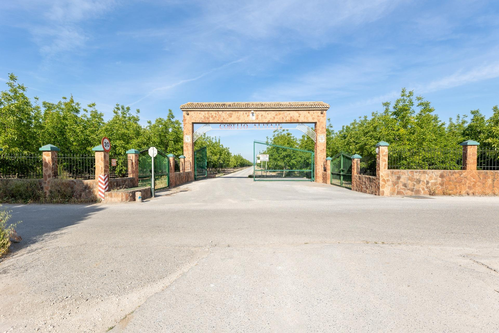 Finca Rústica en Venta – Vega Norte de Granada