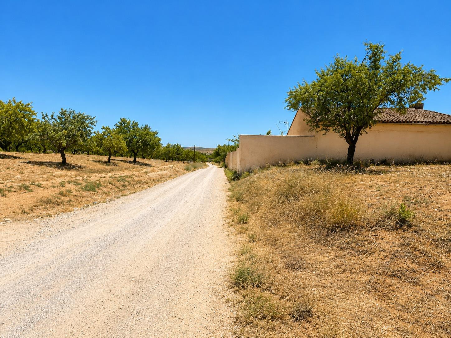 Magnifica finca rústica de 1.300 metros en El Arroyo de Padul