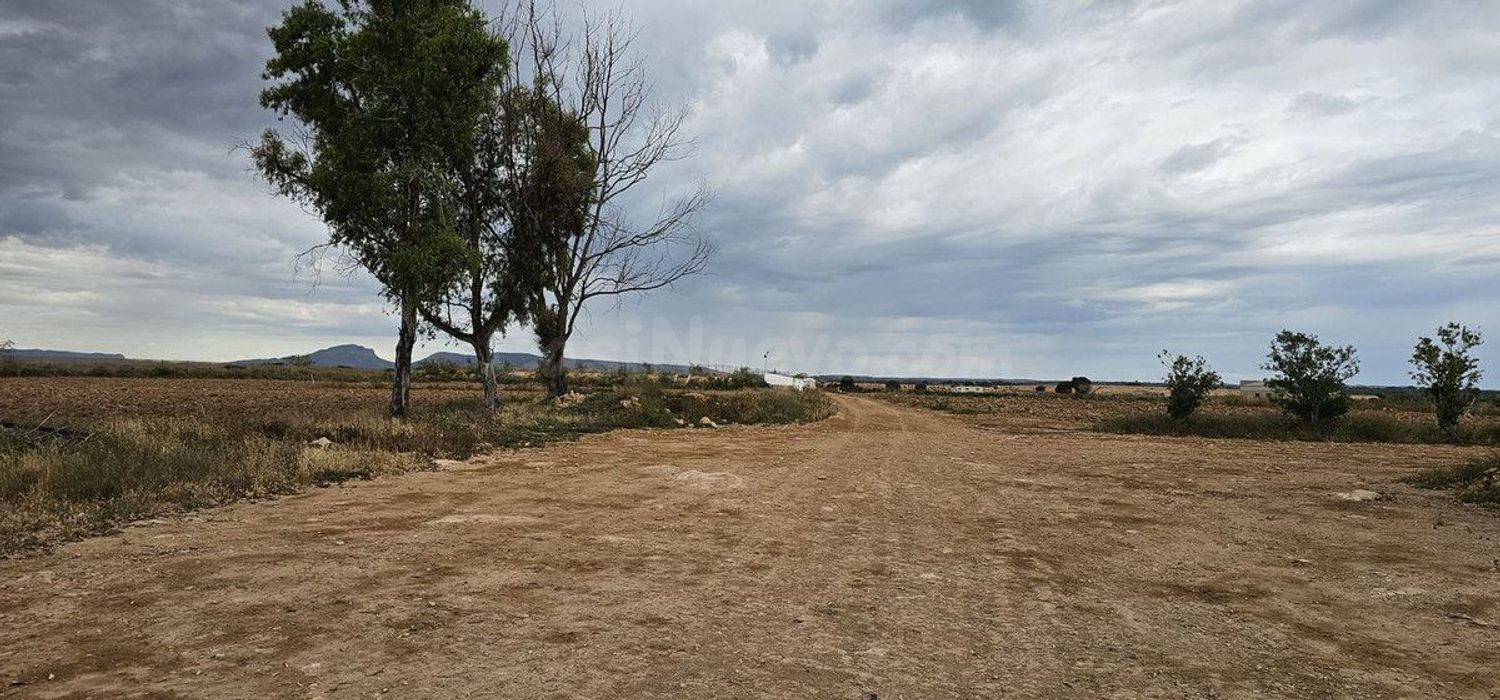 Terreno rural 248m² en venta - Sucina