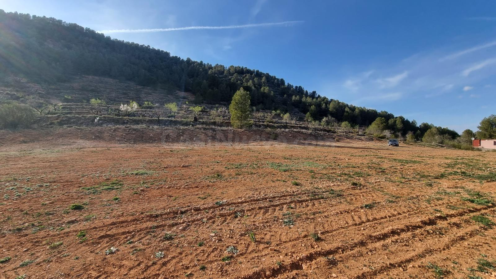 Venta terreno en Bullas proximo a "Salto de Usero"