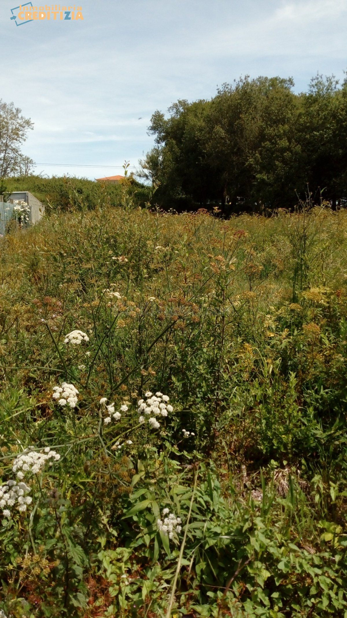 FINCA RUSTICA