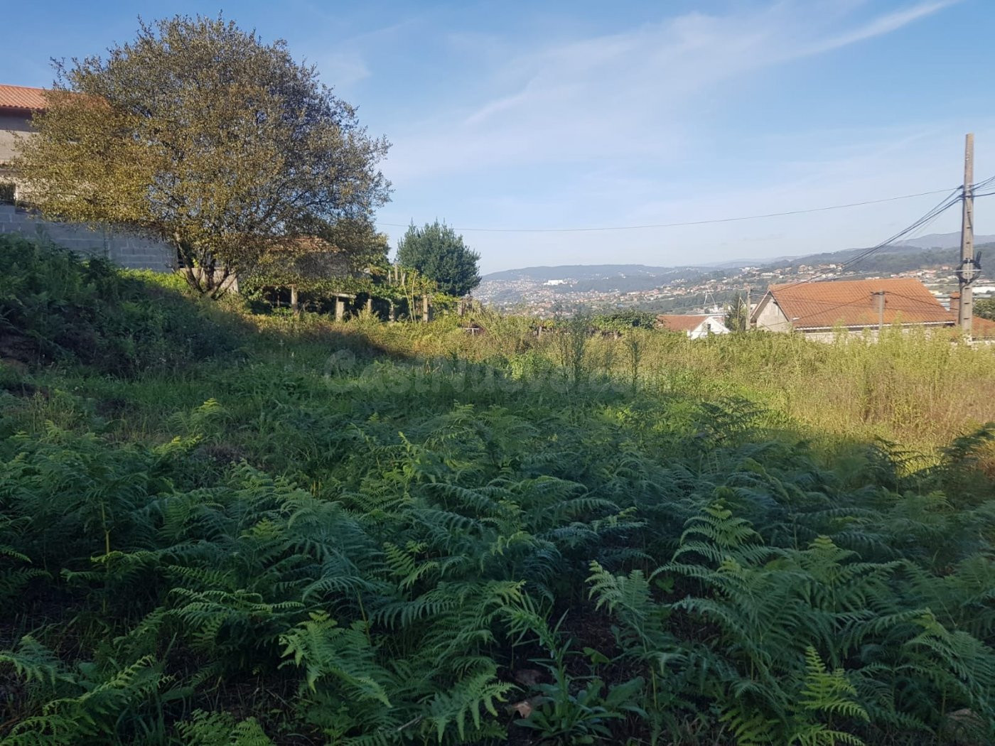 TERRENO CON LICENCIA DE CASA