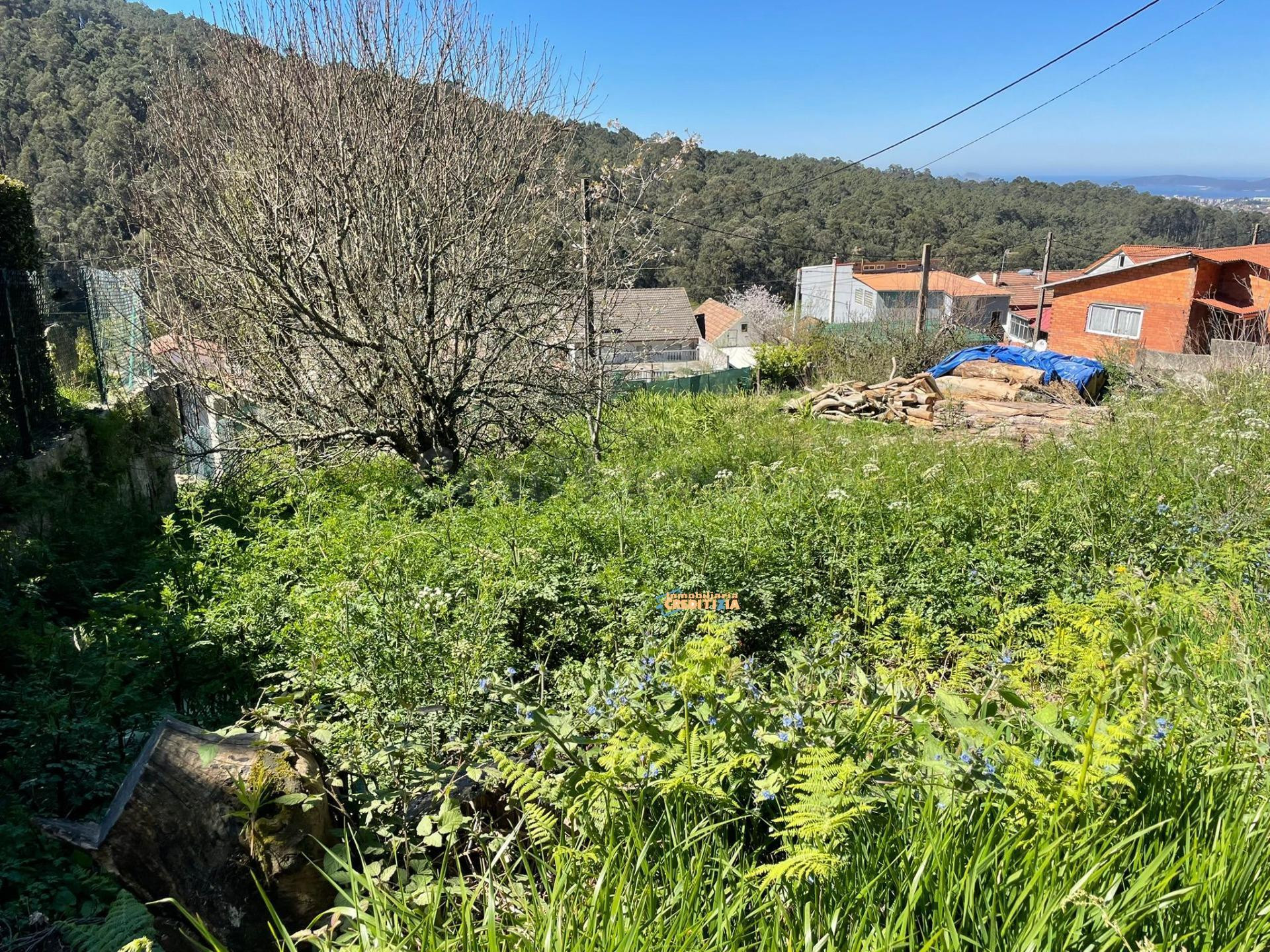 TERRENO EDIFICABLE