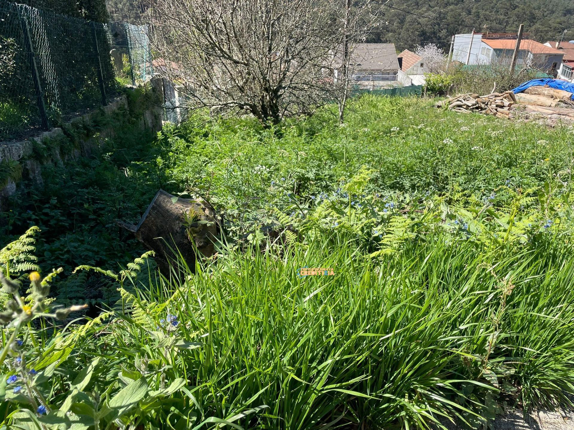 TERRENO EDIFICABLE - foto 4