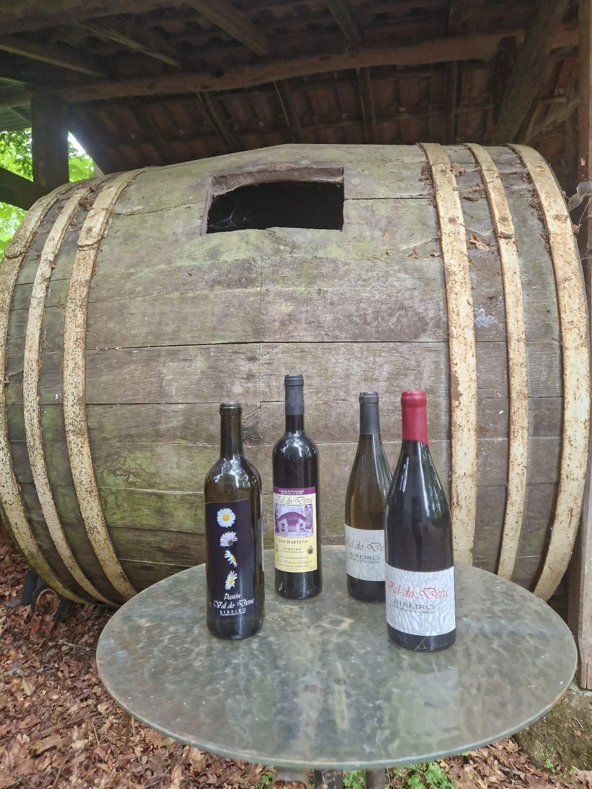 PROYECTO ENOTURÍSTICO EN EL RIBEIRO  Una bodega histórica, v - foto 2