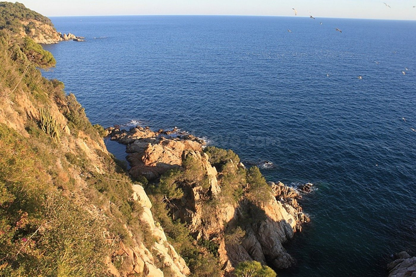 Villa exclusiva en primera línea del mar! 7200m de parcela - foto 2