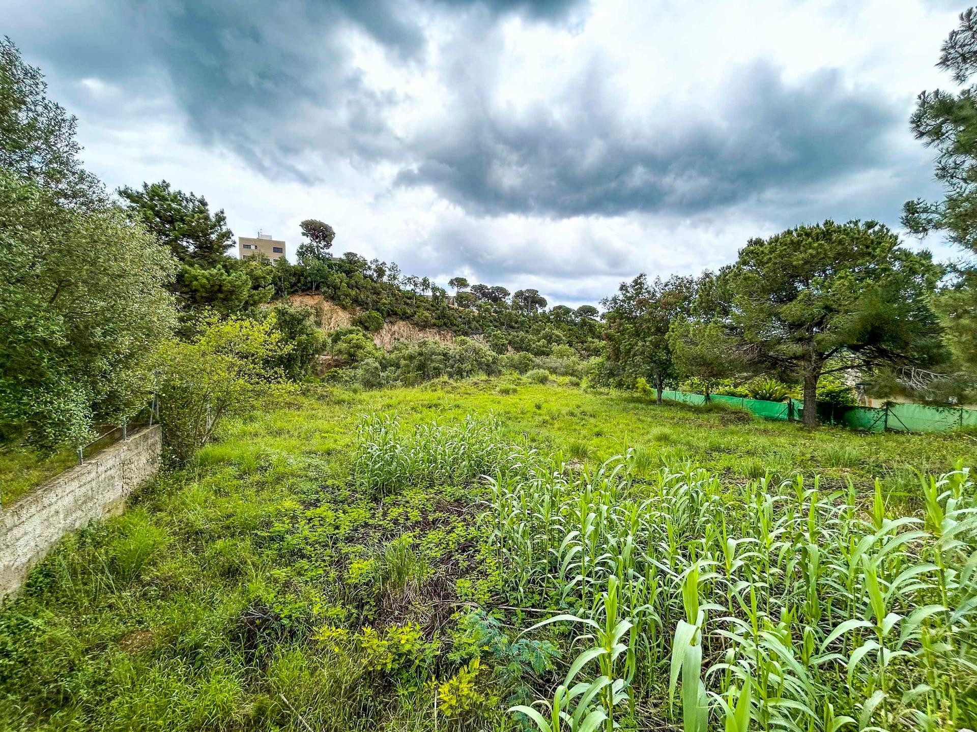 Se vende Parcela soleada de 930 m2, en la urbanización de Pinares.