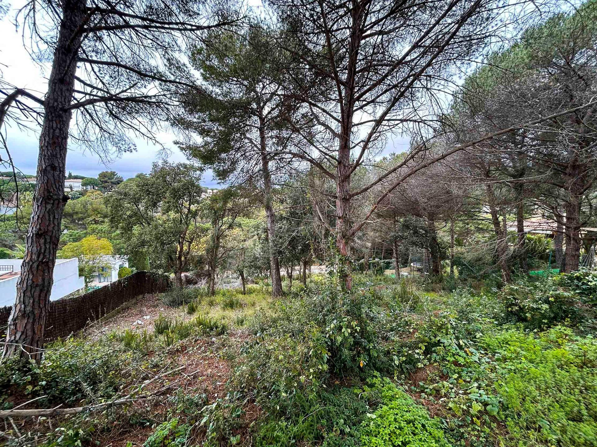 Se vende parcela de terreno a 5 minutos andando de la playa.