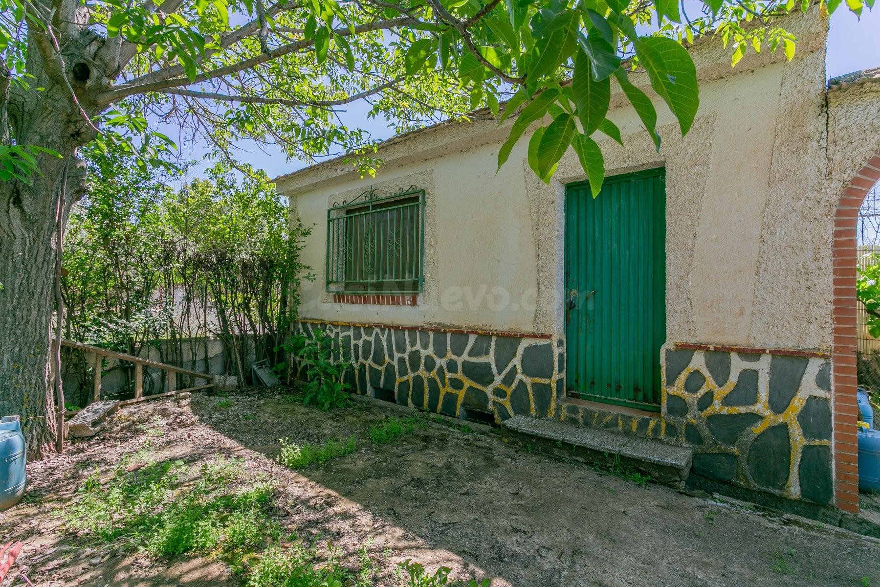 "¡Vive la vida en el campo! Terreno con casa de aperos y cultivos de olivos y frutales