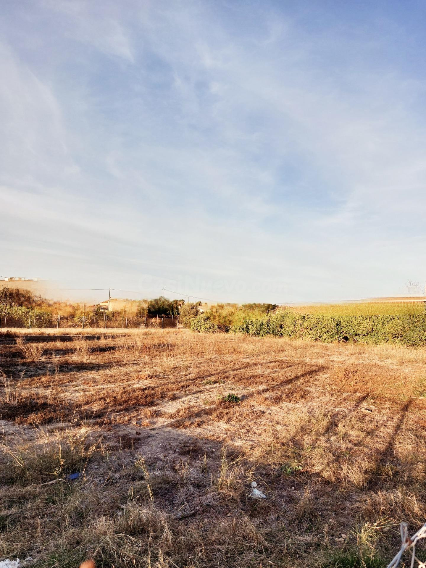Terreno rural en venta - Guadalupe