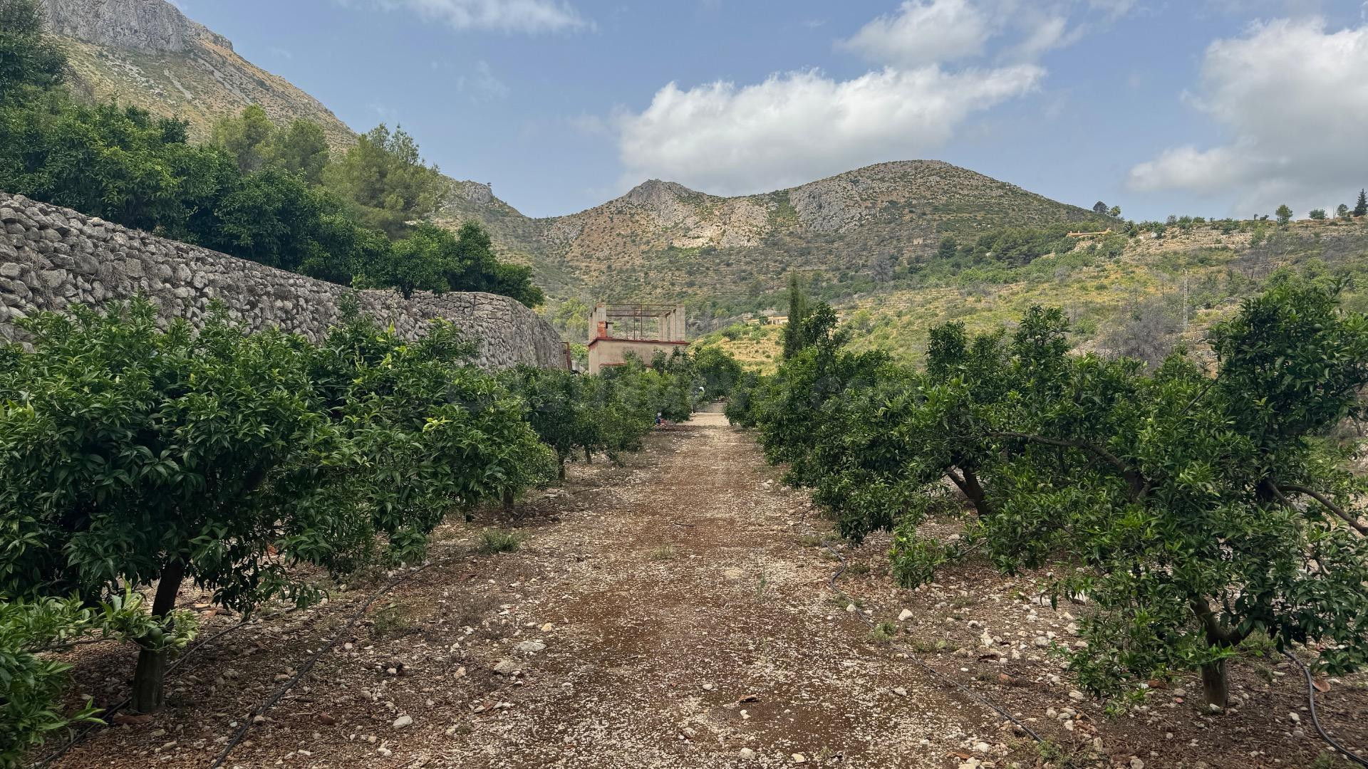 Terreno urbanizable en venta - Comunidad valenciana - foto 4