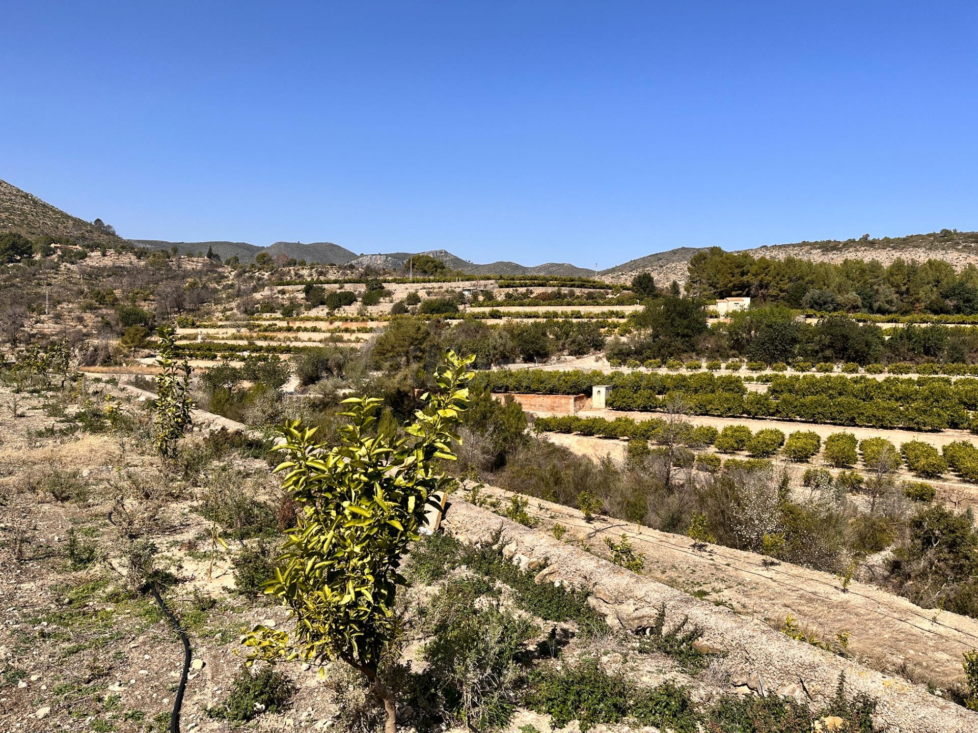 Terreno urbanizable en venta - Comunidad valenciana - foto 5