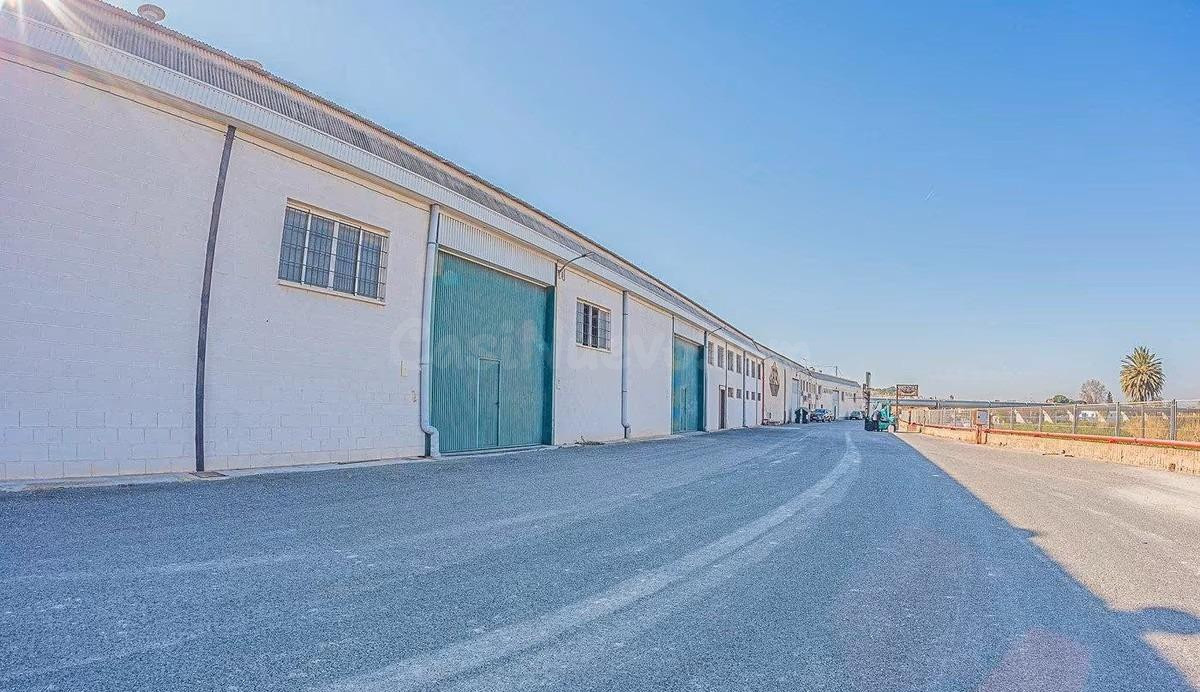 Complejo industrial con más de 6.000 m2 y gran parcela en Orihuela