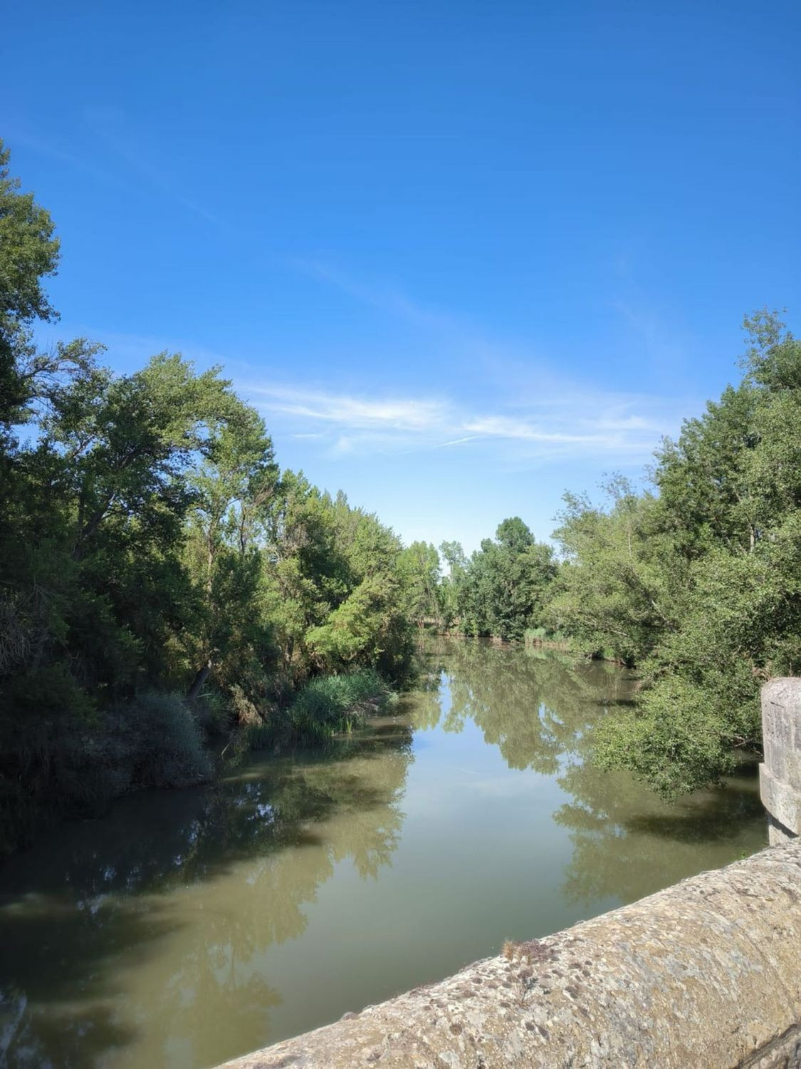 Local comercial 300m² en venta - Castilla y leon