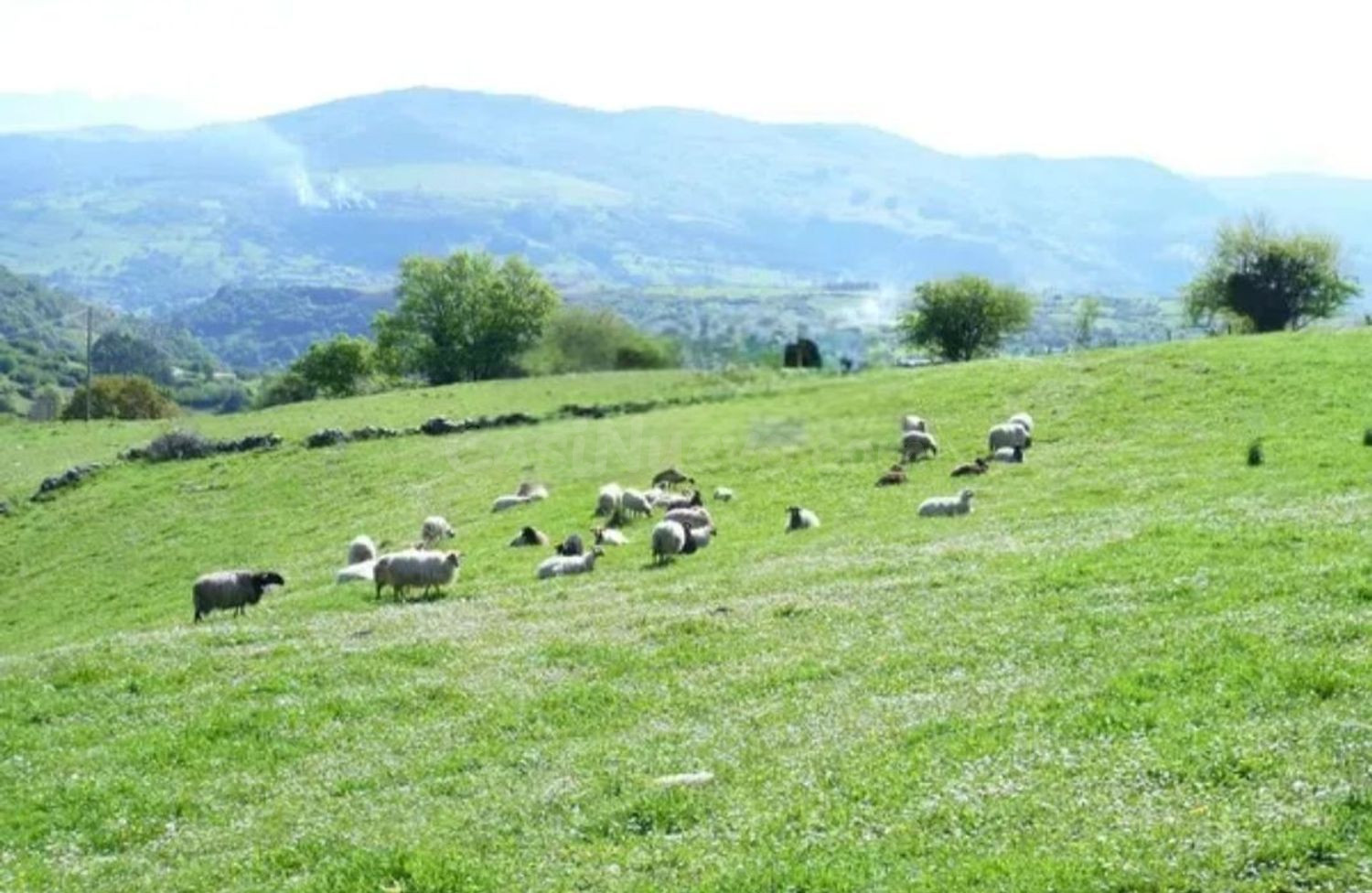 Finca rústica 252m² en venta - Northern spain