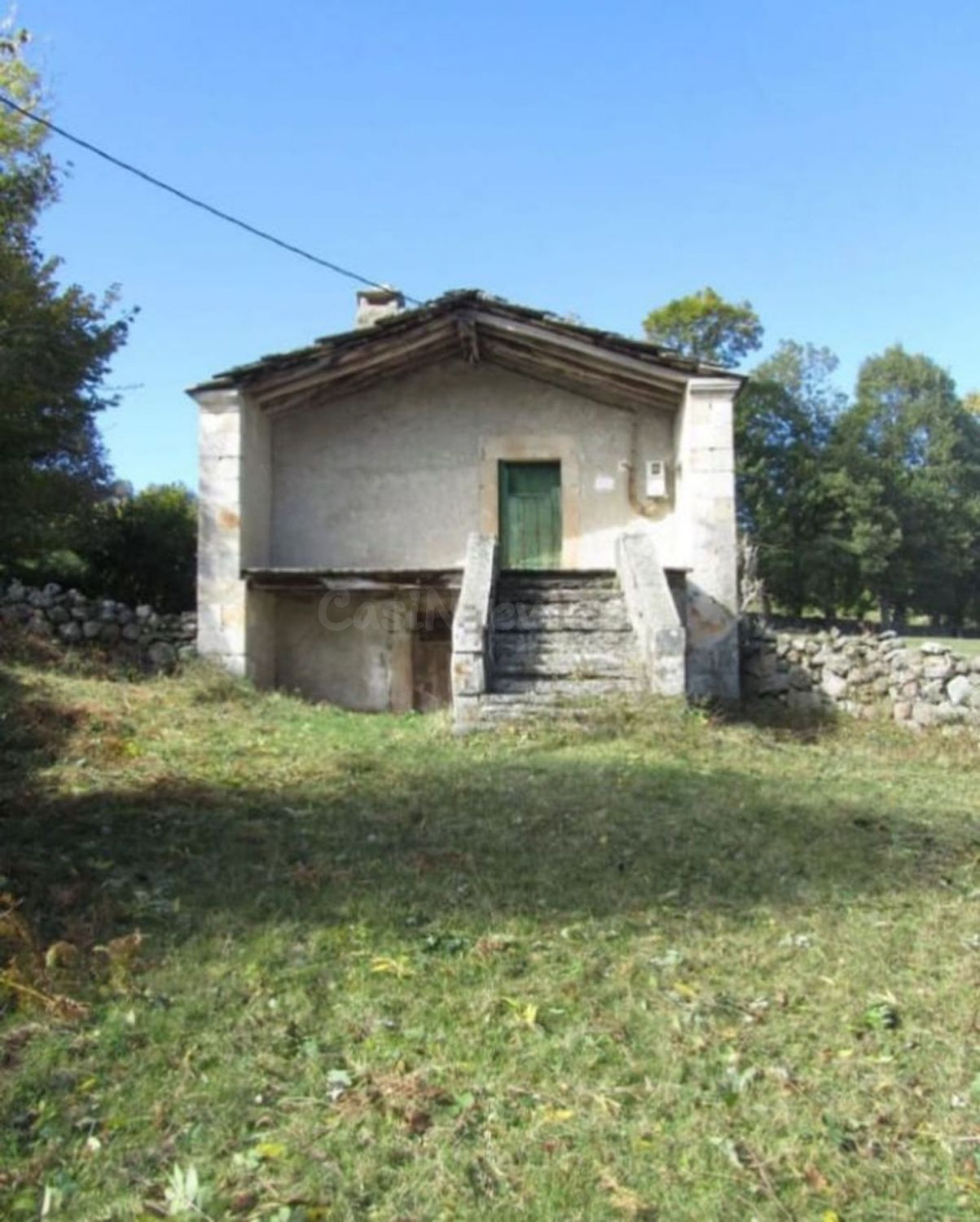 FINCA RÚSTICA EN ESPINOSA  DE LOS MONTEROS