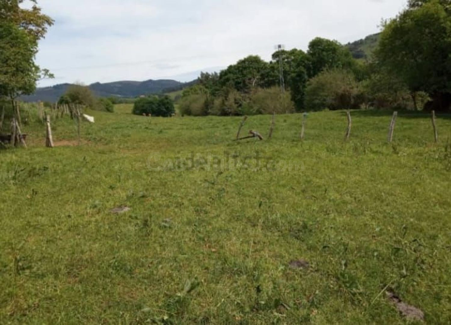 Terreno rural 3321m² en venta - Cereceda