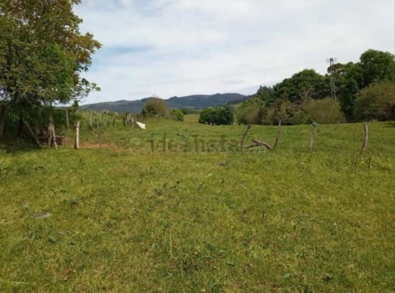 Terreno rural 3321m² en venta - Cereceda - foto 3