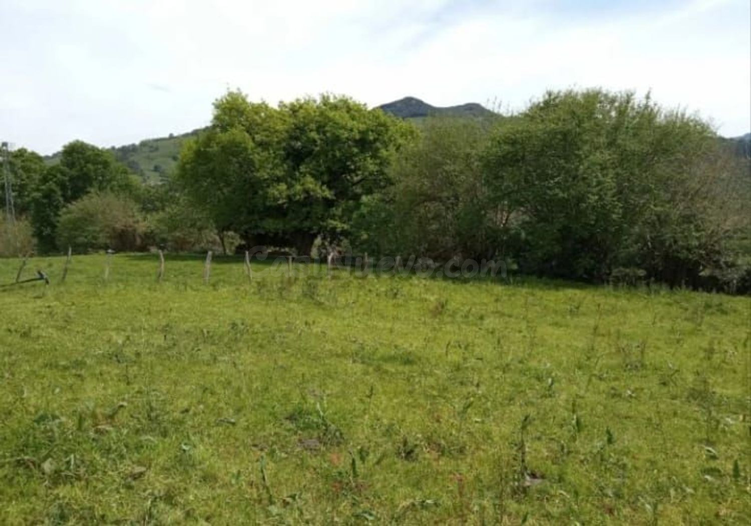Terreno rural 3321m² en venta - Cereceda - foto 5
