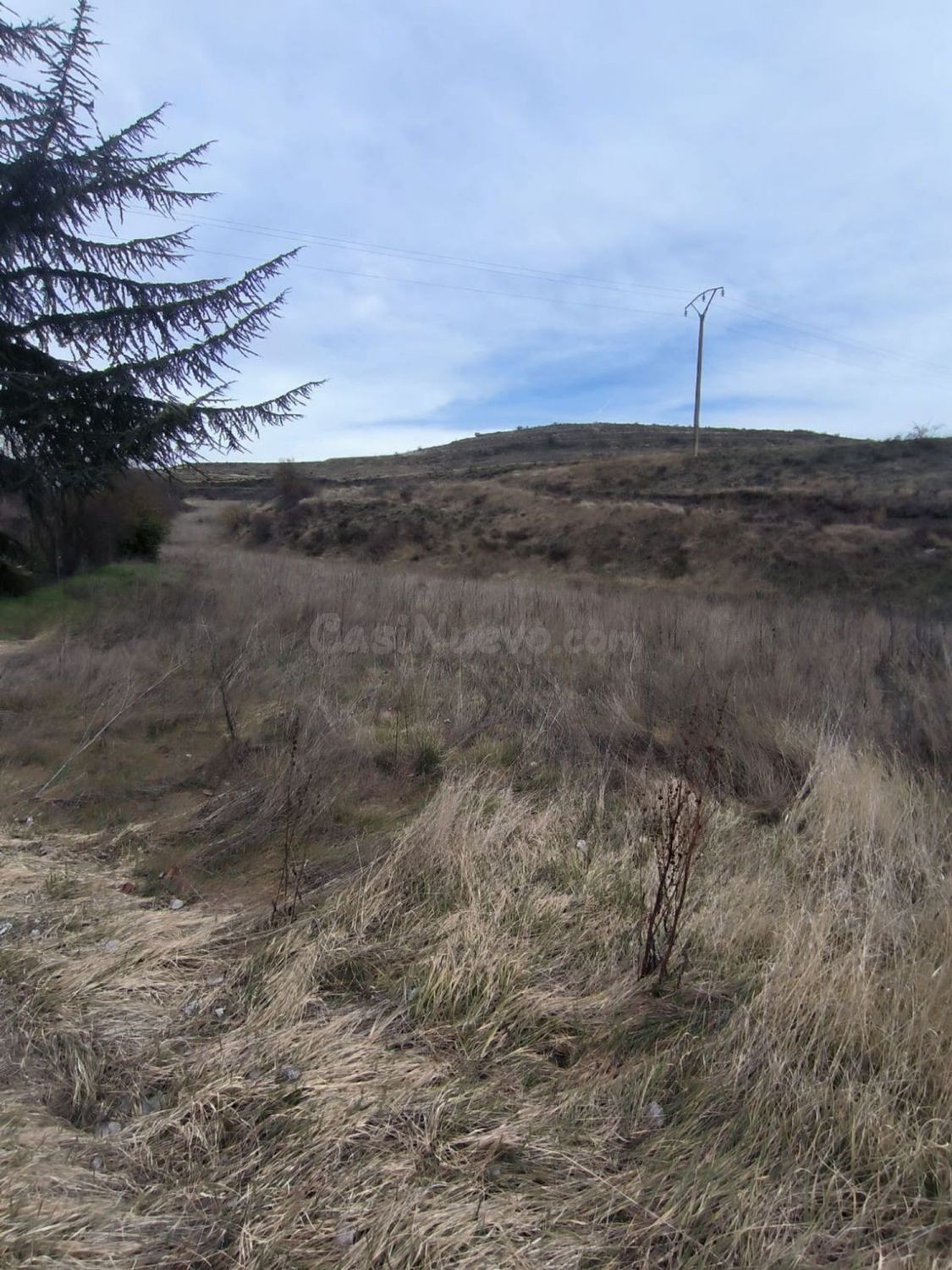 Terreno rural 3580m² en venta - Castilla y leon - foto 5
