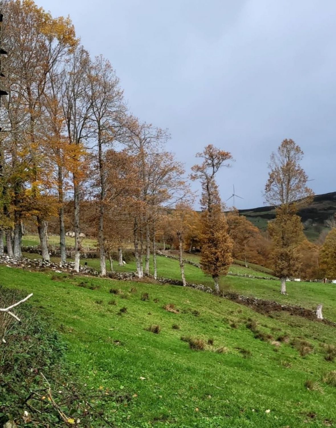 Terreno rural en venta - Lunada