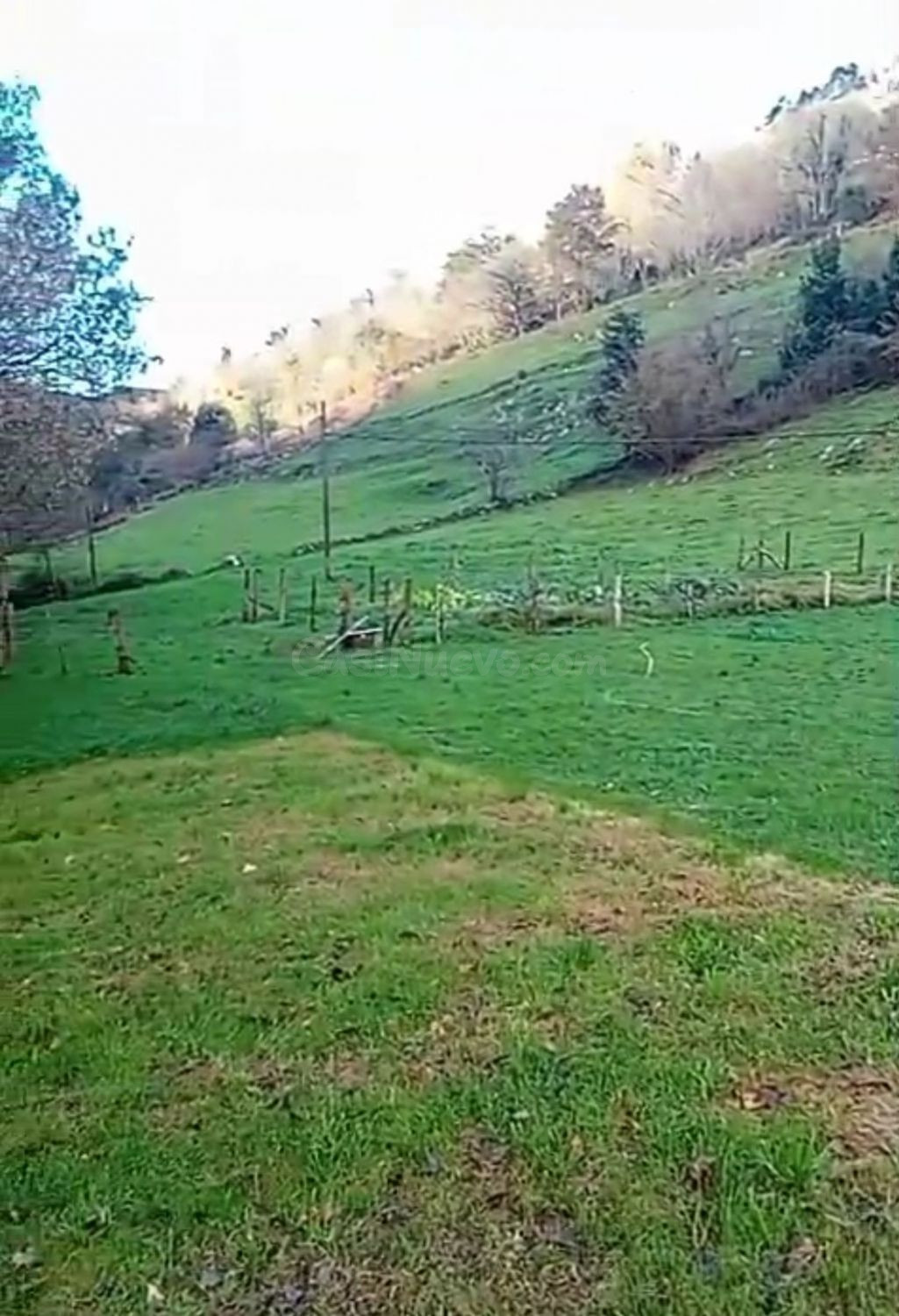 Terreno rural 1300m² en venta - Bustablando