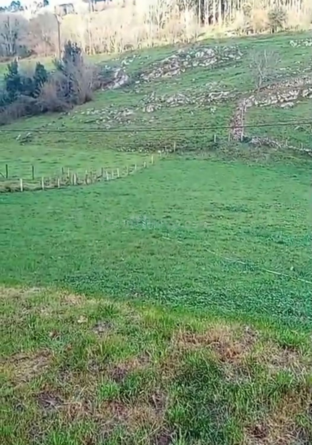 Terreno rural 1300m² en venta - Bustablando - foto 2