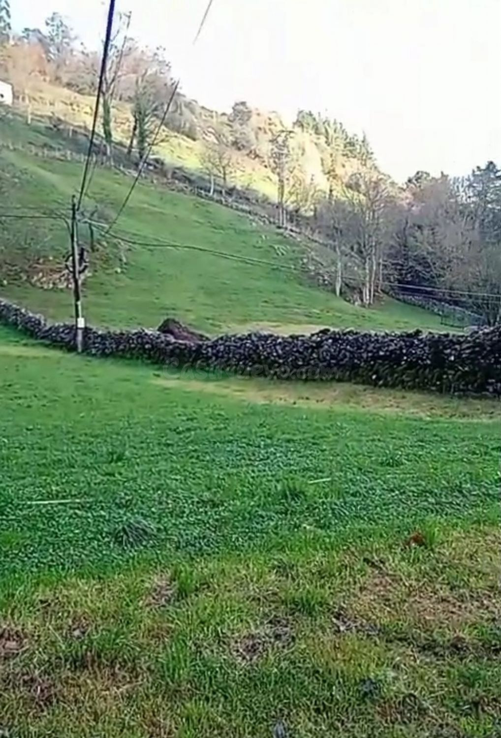 Terreno rural 1300m² en venta - Bustablando - foto 3