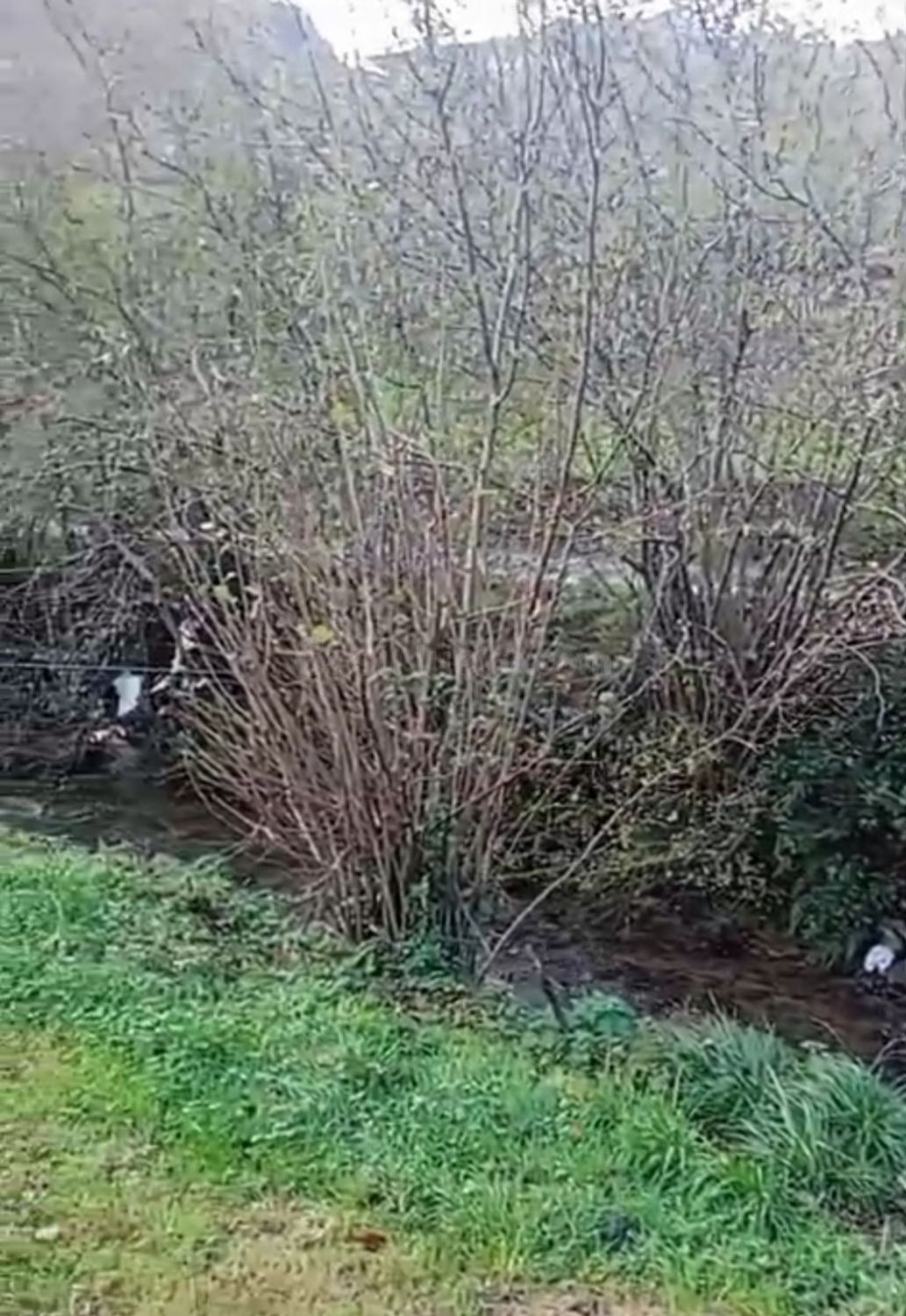 Terreno rural 1300m² en venta - Bustablando - foto 4