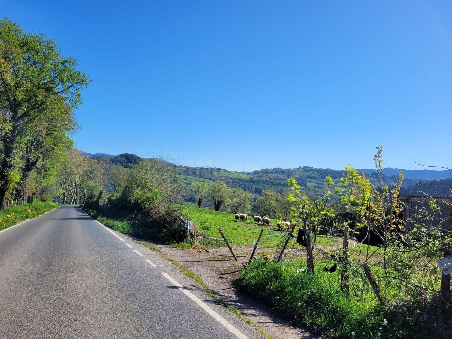 Terreno rural 35000m² en venta - Pais vasco