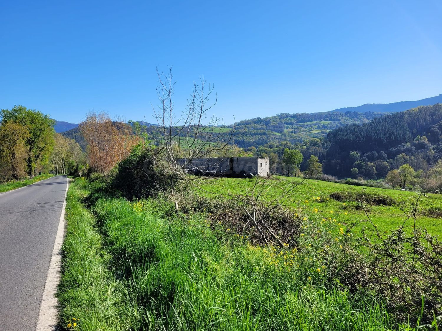 Terreno rural 35000m² en venta - Pais vasco - foto 2