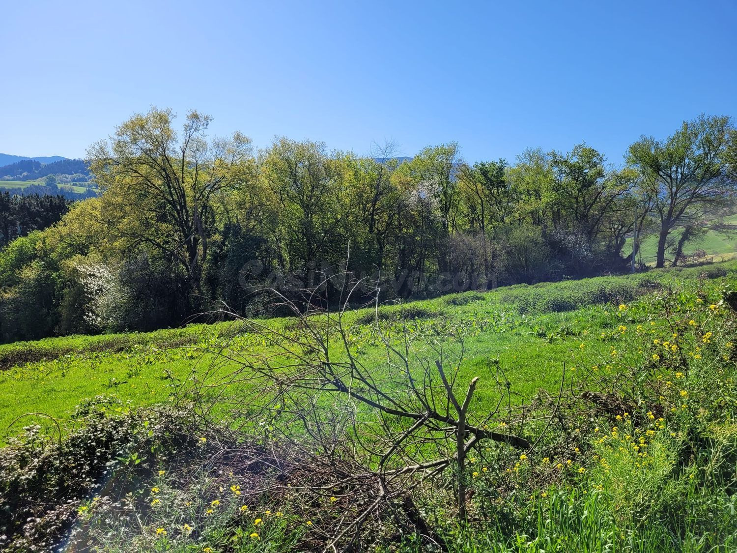 Terreno rural 35000m² en venta - Pais vasco - foto 4