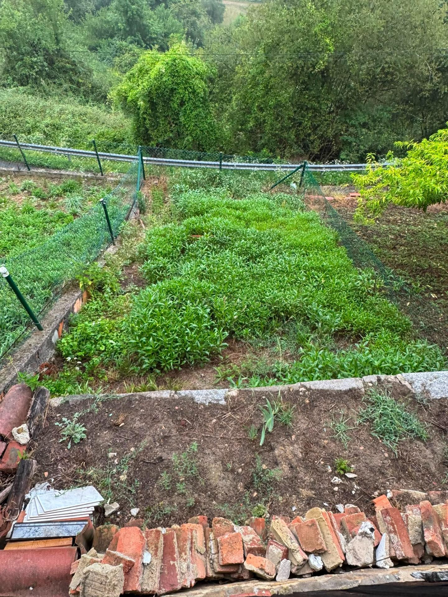 Encantadora Casa en la zona de  Mieres: Naturaleza y Confort por €48,000