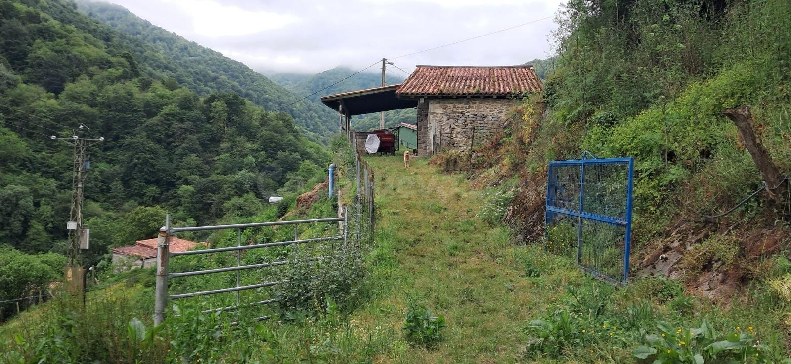 FINCA DE 30.000M2 CON CASA Y CUADRAS